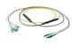 Pasternack PE3FCA312-5M
