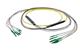 Pasternack PE3FCA382-5M