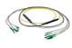 Pasternack PE3FCA384-10M
