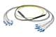 Pasternack PE3FCA451-5M