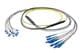 Pasternack PE3FCA461-10M