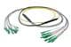 Pasternack PE3FCA464-5M