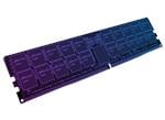 DDR5 Modules