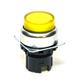 Omron Automation and Safety A22NZ-RPA-UYA