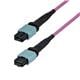 StarTech OM4MTP12BOFNP3M